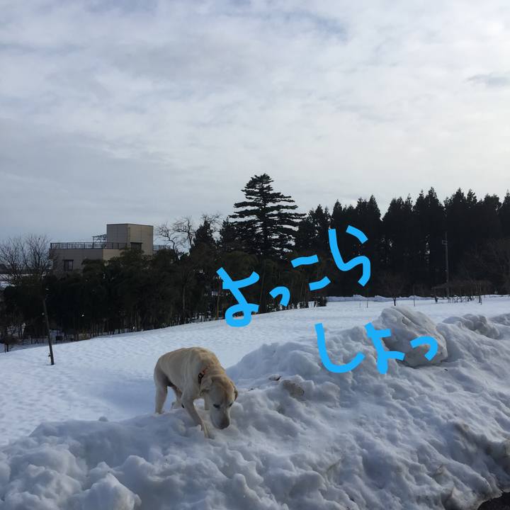 816ea83b 90bc 4964 b4f6 ae609b02b833 1516261128906