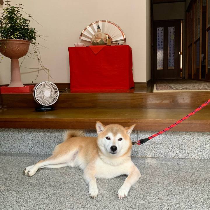 816ec084 7ab2 49ea 8169 69e29d144795 1692787112274