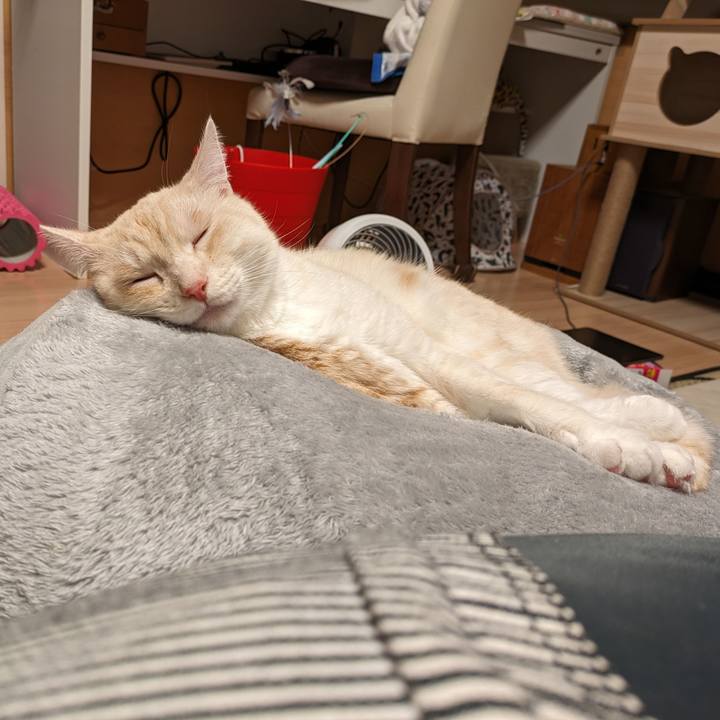 816ed57f a1e8 4d4b 9721 19fca4fd39e8 1692786812022