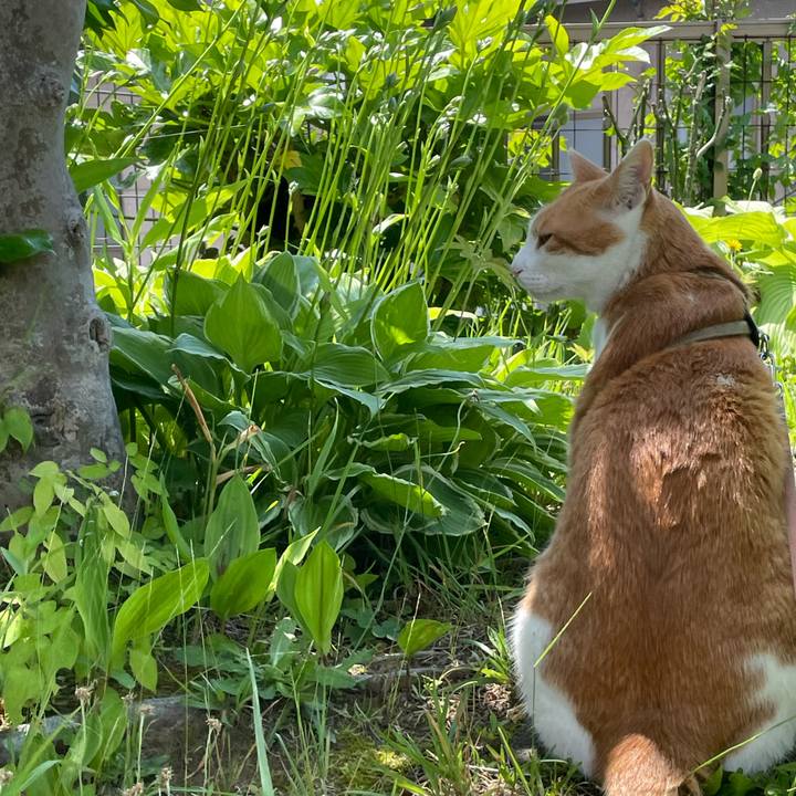 816ed659 d910 4b47 a155 4662ae49a387 1687758891637