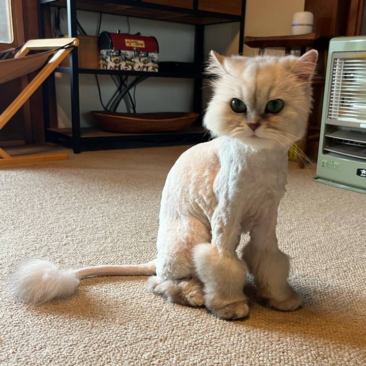 816ef8bf 448e 4674 a179 352ef346c060 1747458843954