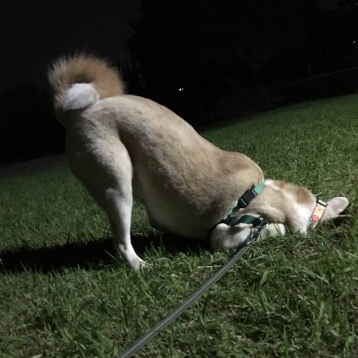 816f45c4 50a1 463c 9361 3c272778a3e0 1508495769200