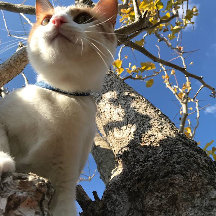 816f5c00 469f 479b a603 f1f7364f019f 1510711605788