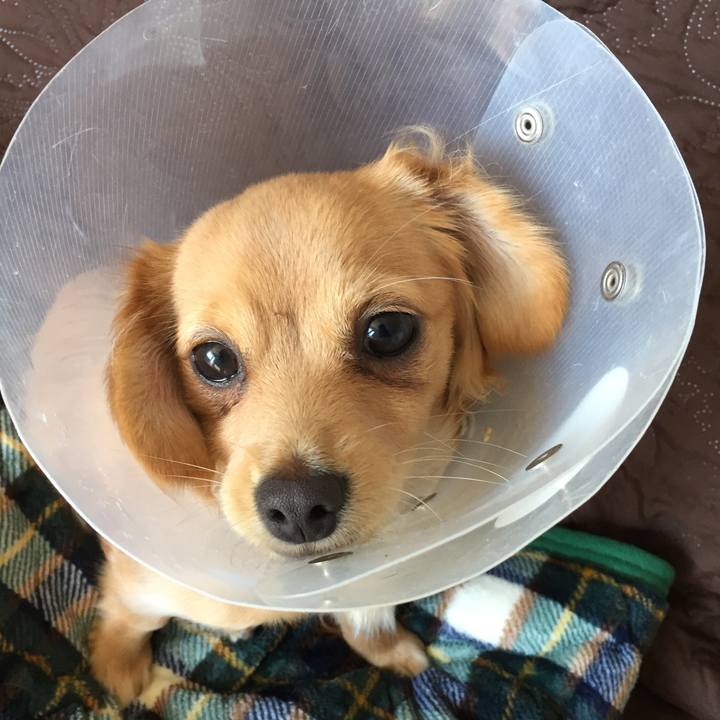 816f6291 3093 47f0 ab05 2f67452806a5 1512959240057