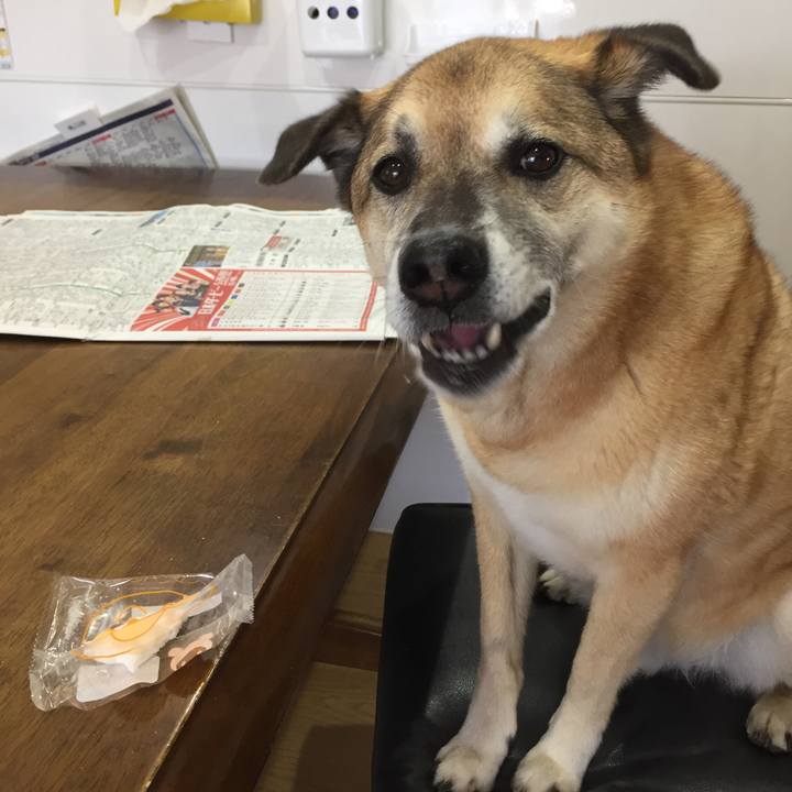 816f7a07 618d 4f8d 8a6c c04af1d184c9 1558827268140