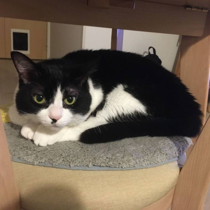 816f8d97 d0a5 4457 87a1 f267cedf0524 1586835990675