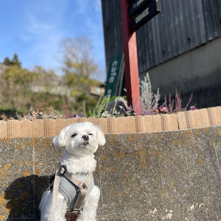 816fe459 a60c 457f b873 47c993c24510 1763972327918