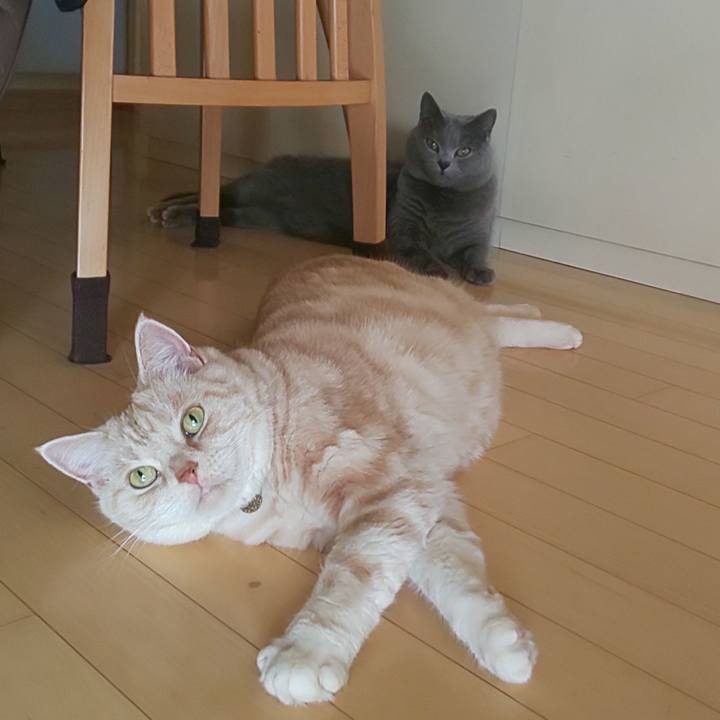 816fedf9 c4e9 4810 bd3a 60b1d185f87b 1576807570109