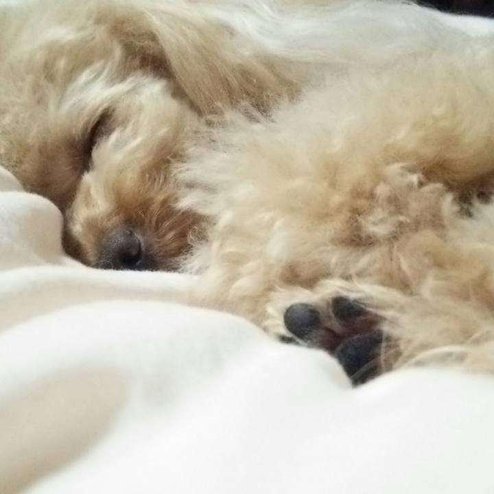 817032b3 8517 47c7 bc57 49e5c15221ea 1531745164581