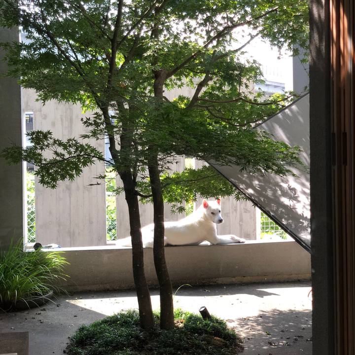 81703720 d302 496c ac9f f2d4540a8d88 1569405733766