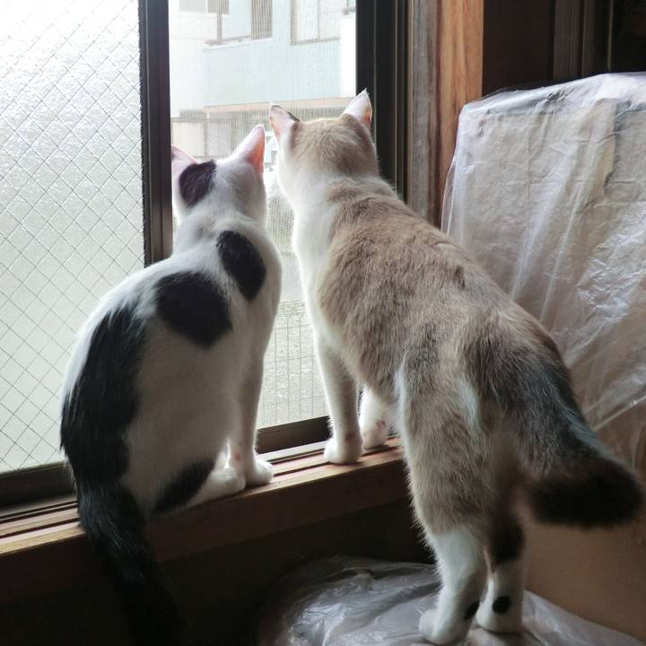 817056b4 6e05 4a40 b90b 3017978a5b92 1518734566917