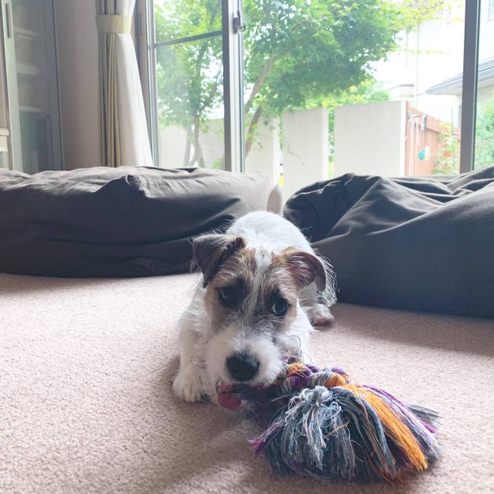 817056f1 a1b9 4591 a63a 40eea4051ca7 1562730682782