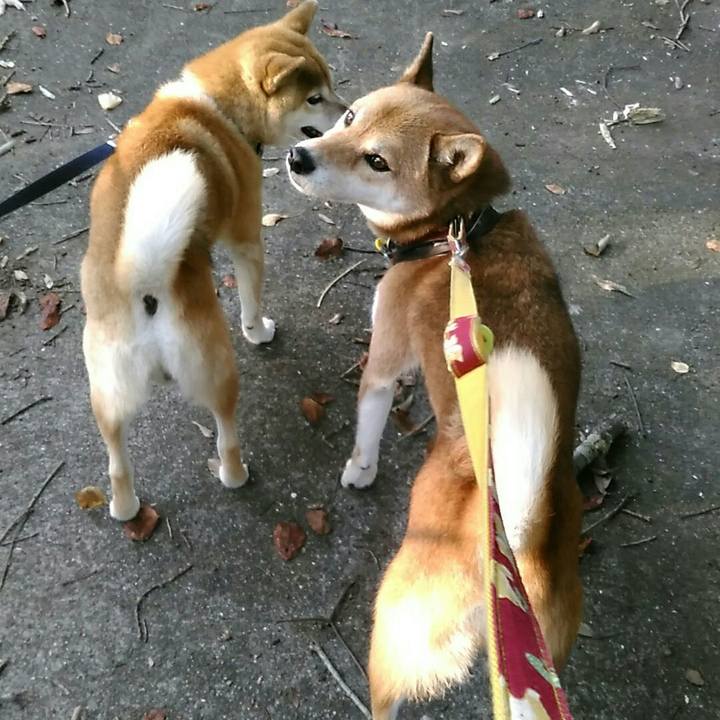 81706c43 77ef 4b28 bb4f 7bf2821f188a 1568904191458