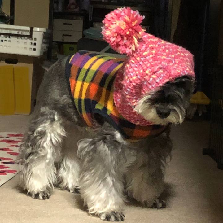 81707fd9 de3c 453b 8779 ef9e8c271621 1701265374460