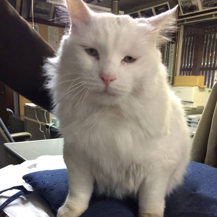 81708ae4 5ac6 4cf7 976a 7265802c50f7 1508797543407