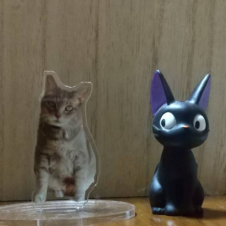 8170cd81 2824 42a8 8dbf 7dfea57ecf4a 1730026424292