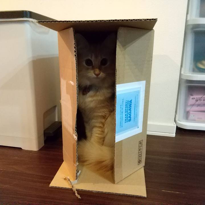 8170ce28 1bd5 4a8d 8970 825e8b75ba9d 1635371410529