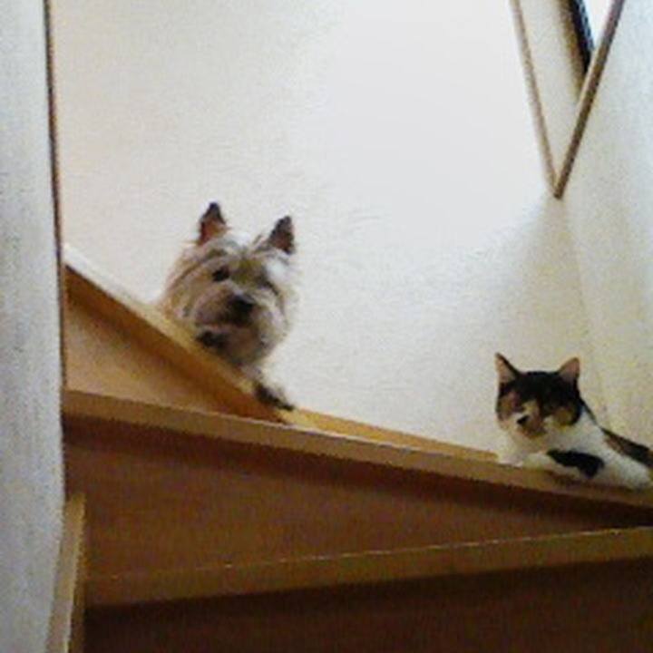 8170ce7a 0b8c 4bb3 abee 92b6dd784197 1535870322540