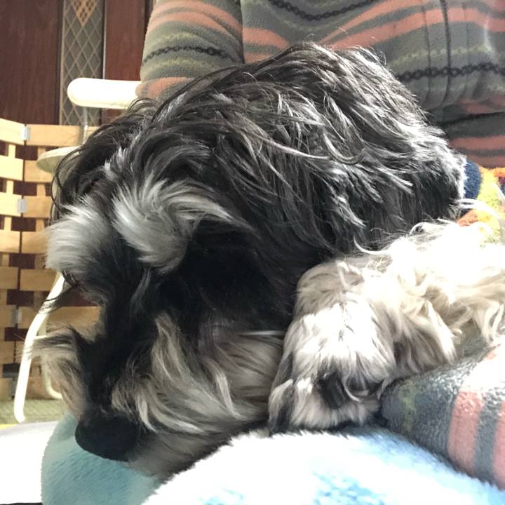 8170d06a 3f9d 4859 8846 35a78260b8c2 1644243242898