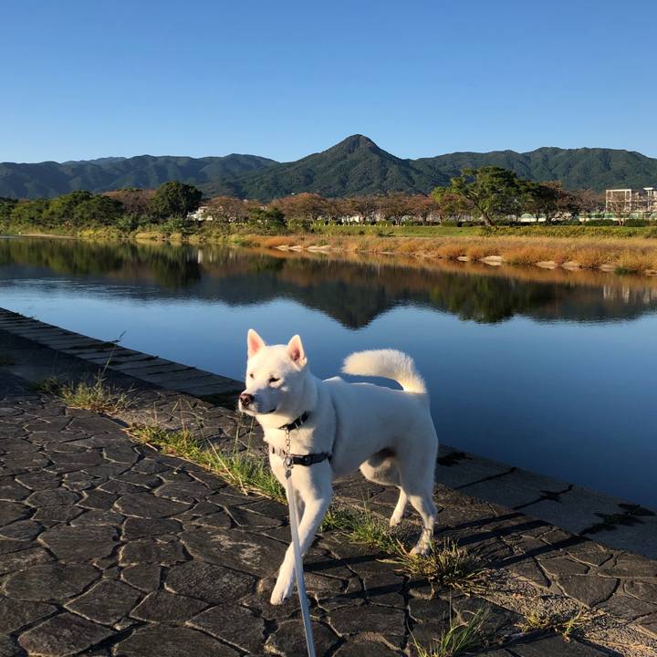 8170d42f d6c2 4cea 82d5 0b4cbe1bc027 1603579350606