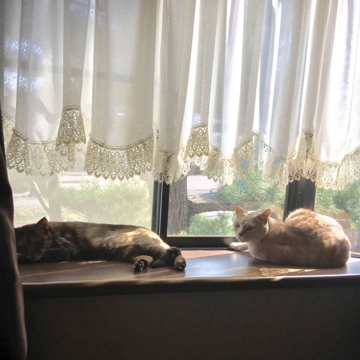 81710551 b7f8 4ee4 ac32 e7ff3271f7f0 1555999546606