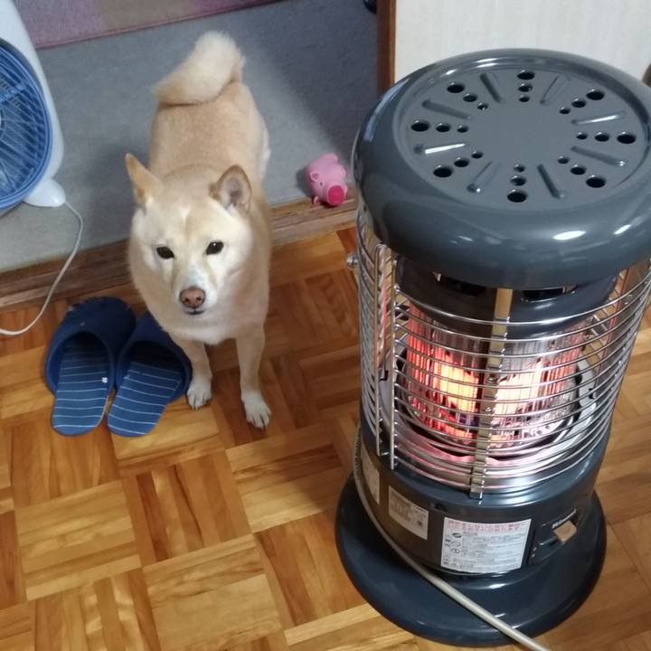 81710d39 3fa3 4bd7 8ce4 e74352f310c0 1608158358098