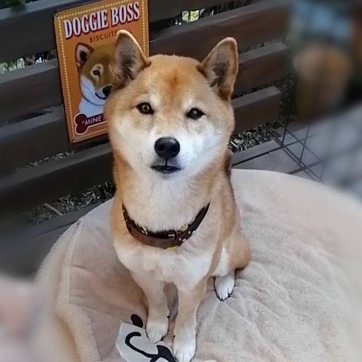 817113f0 0fb4 4547 866e 2bd0ceb90d1a 1612578149270