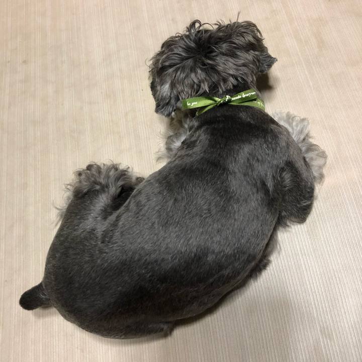 81715a62 41d8 4cd7 aaf2 651c75496265 1661173701922