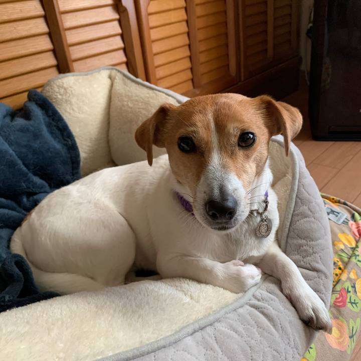 817175d1 4311 40ee 9f57 7ba58a1e30b6 1587803126700