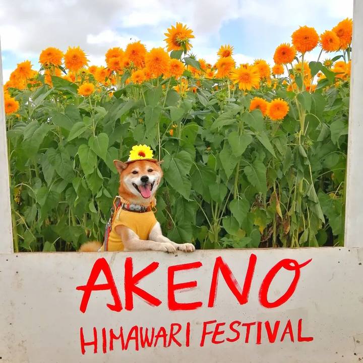 81717641 a569 4422 86f8 42af8da159f3 1693117572033