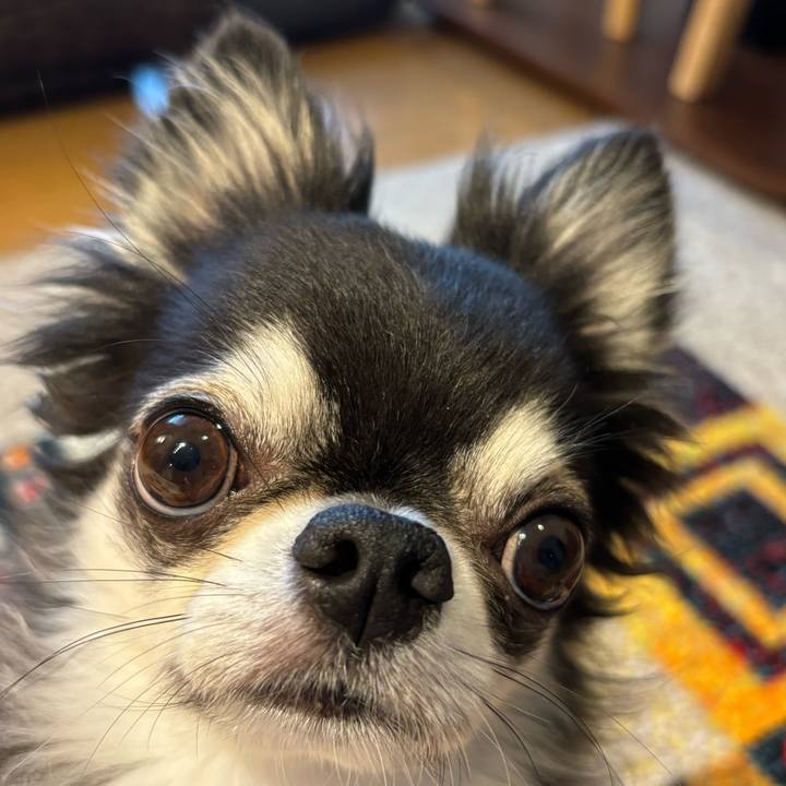 8171a3c8 37cf 4d48 bcfc 00f7feb249f0 1720912648563