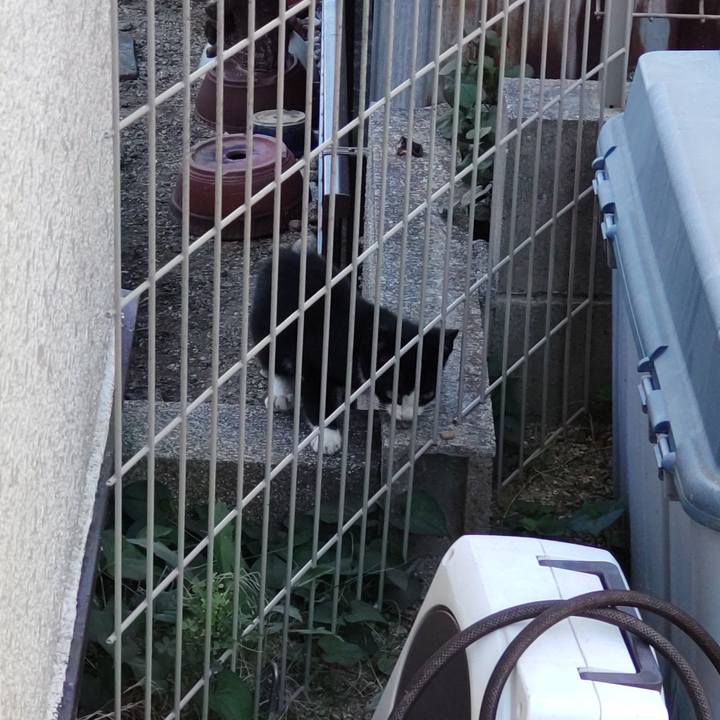 8171b57c 8634 41ad 80c4 4299d2936b55 1689720977353