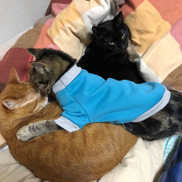 8171bcba a9b4 4526 8ebf 0815774d405d 1736672346258