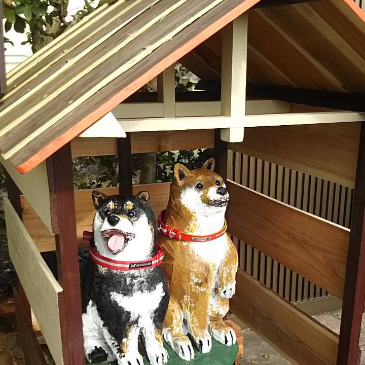 8171c7f8 6174 4894 9a38 856abbcd1175 1522191513338