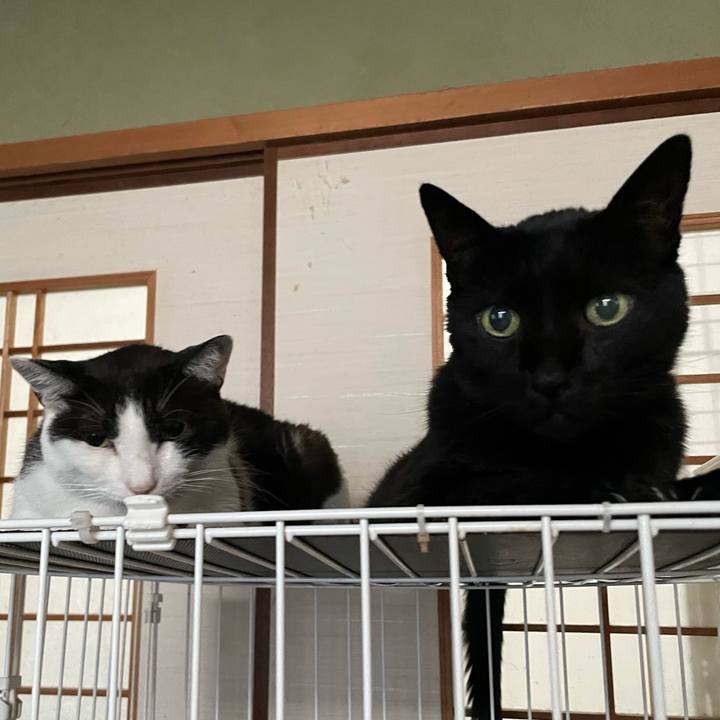 8171ccd7 33e5 43be b28c ea19f473f767 1659748772727