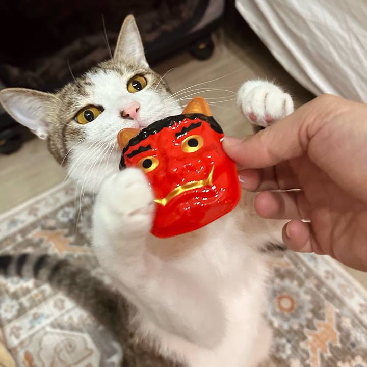 8171d1aa 6b14 433d 9c9d a67a5700e474 1770090963619