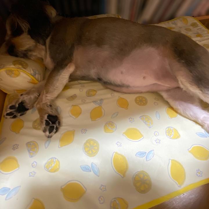 8171da64 ff17 4086 a9ae dd8db066481a 1684364777492