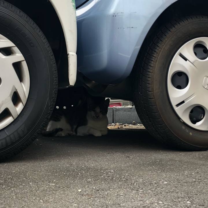 8171f3bd 3028 4398 bf19 e45433bc6788 1566717769334