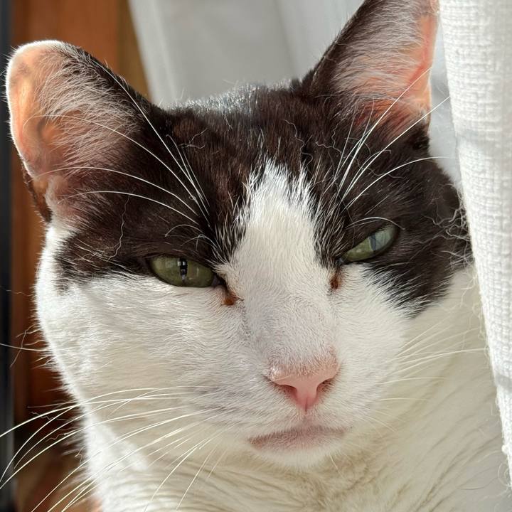 81721be3 c769 45cb bb8c 2b957ef985a4 1760752314816