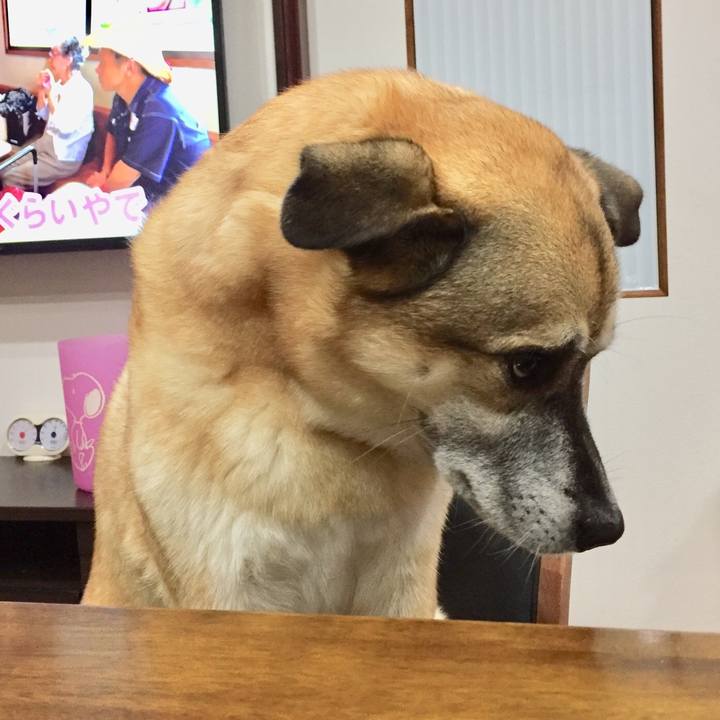 81721e0f 4386 49b2 bf1f 9c3f59422761 1536149290824