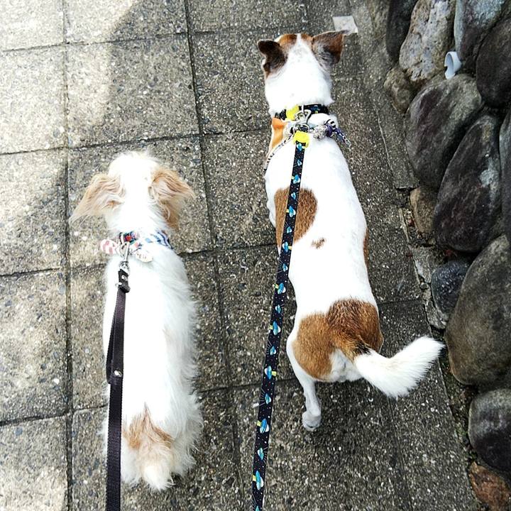 81726953 e273 4c2f b0d1 8ea9fede03cd 1567233931426