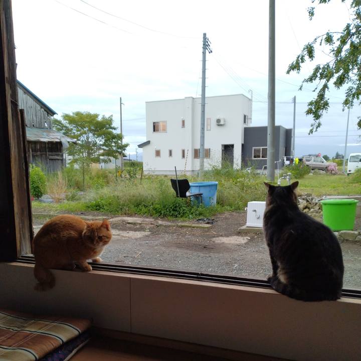 81728cba 1dd7 43ad 93e7 8c59347d4df6 1663732003877