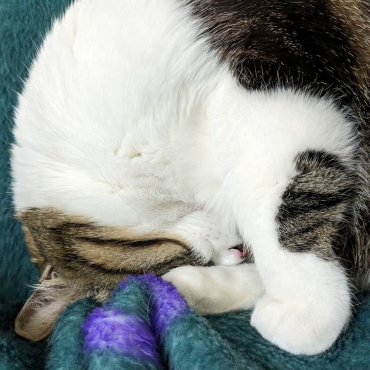 8172b664 989c 41f9 8e4b c9ae2fdbc9b8 1709797498782