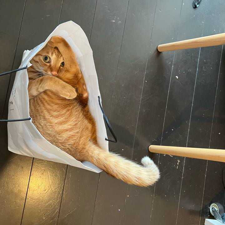 8172d25d 10a8 4d9e 9da8 d9c362c52d54 1653513770805