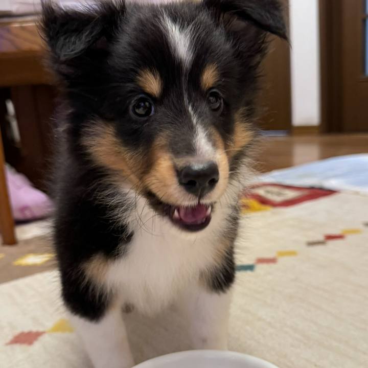 8172e803 3e91 4993 8f79 0363f587fa57 1753636643997