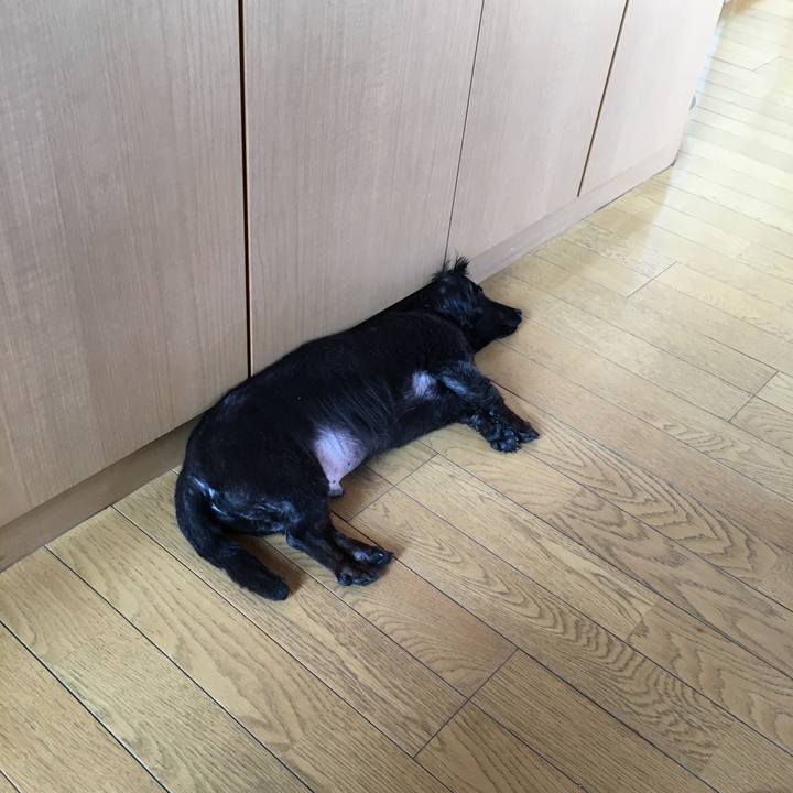 81730238 25e3 4127 835c 0bece4bbd63a 1536271197939