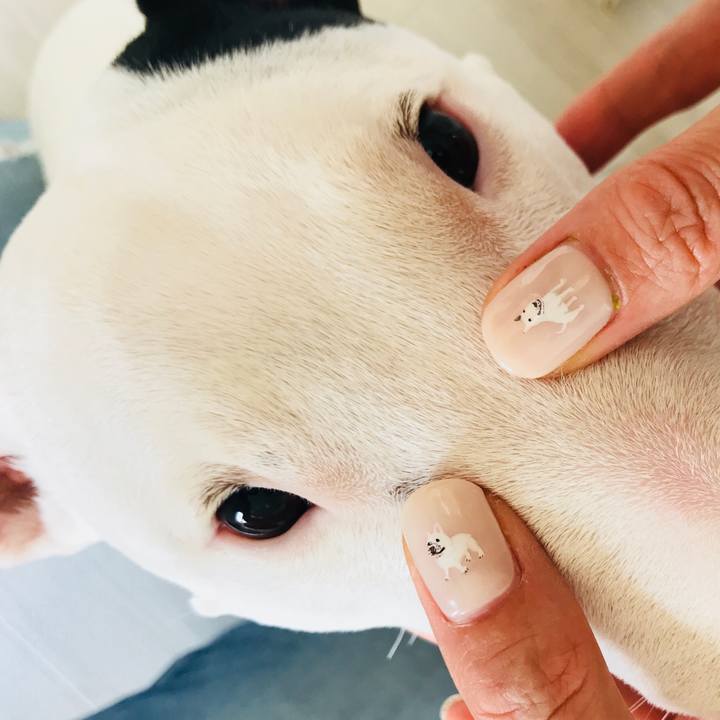 81733e15 ecd7 4f9e b5c3 f18f956b16a4 1529388281012