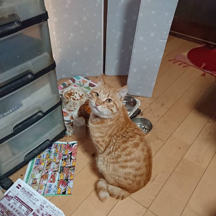 817341cb 9cab 4221 a96a c152467da22f 1650405545120