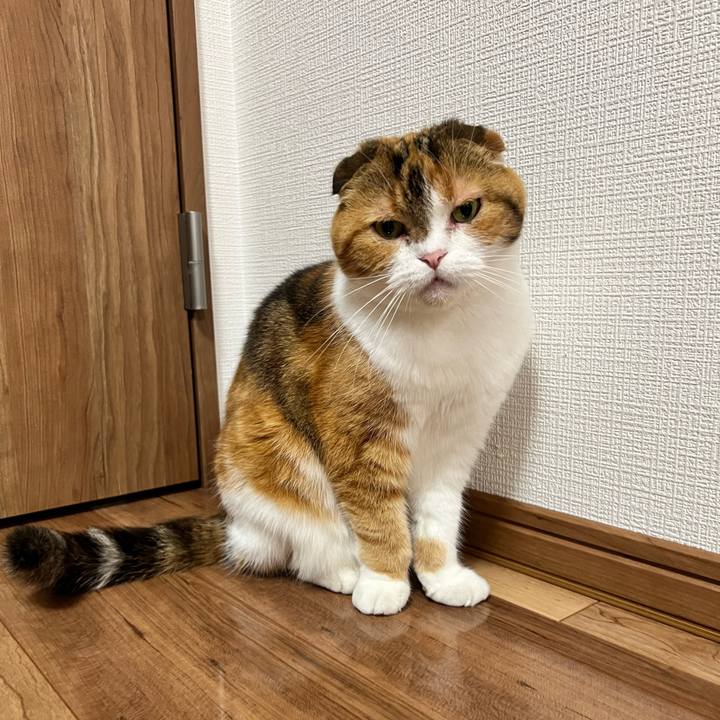 81734275 651f 4c33 b337 59fba57a017b 1750508015042