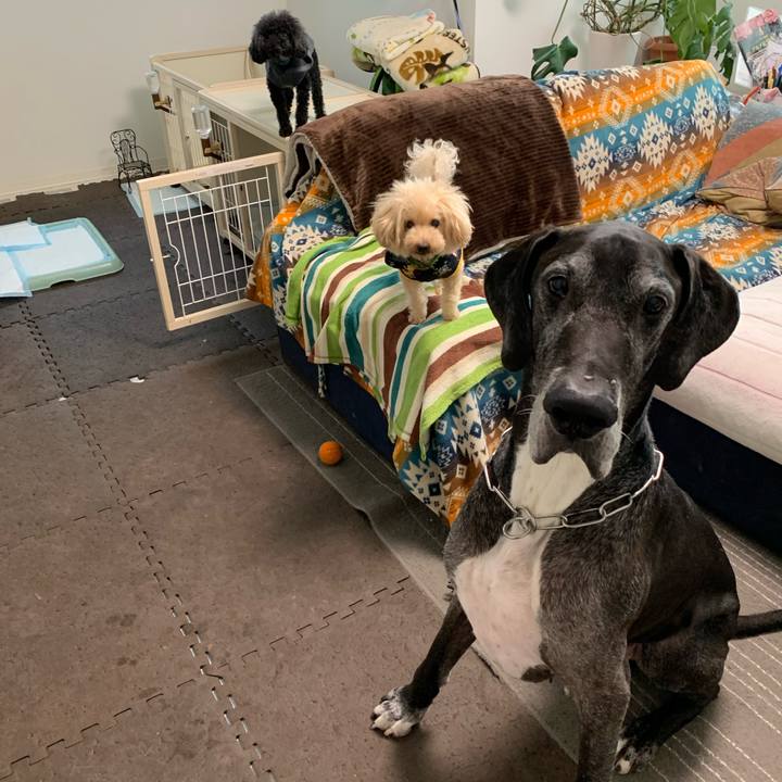 81734d52 f79c 4231 89ff 76d4f48172fa 1603497223223